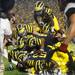 Michigan football players pile on top of  running back Vincent Smith after he scored a touchdown during the fourth quarter against Notre Dame on Saturday. Melanie Maxwell I AnnArbor.com